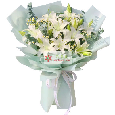邵阳6支白色多头百合,温馨的祝福